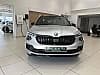 Skoda Kamiq 1.0 TSI Evo 2 116 ch DSG7 Monte Carlo