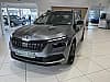 Skoda Kamiq 1.0 TSI Evo 110 ch DSG7 Monte-Carlo