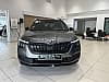 Skoda Kamiq 1.0 TSI Evo 110 ch DSG7 Monte-Carlo